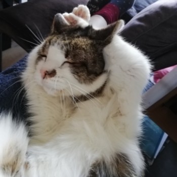 Profilbild von Artus