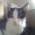 Profilbild von Cleo