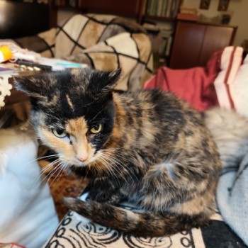 Profilbild von Lotti