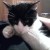 Profilbild von Pascha