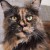 Profilbild von Madame Mim
