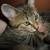 Profilbild von Aliya