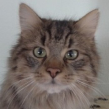 Profilbild von Moritz