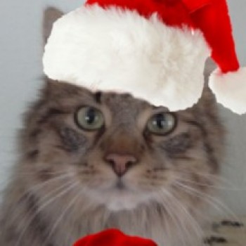 Profilbild von Moritz