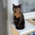 Profilbild von gracey