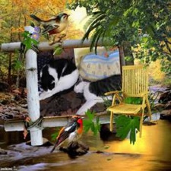 Profilbild von Die Papiertiger Kater Tommy& Nicky im Irgendwo..
