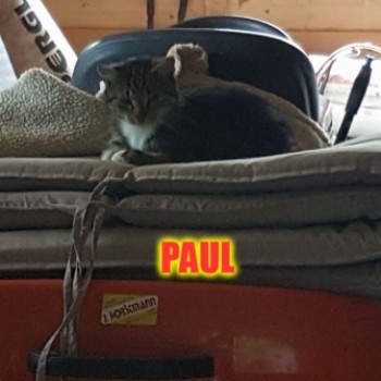 Profilbild von Paul