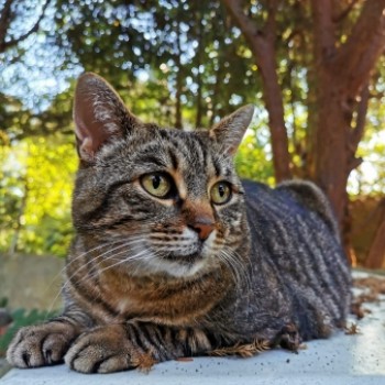 Profilbild von Shirley