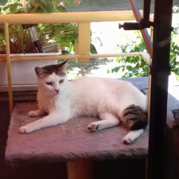 Profilbild von Blanquita