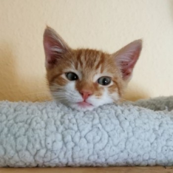 Profilbild von Johnny
