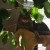 Profilbild von Smokey Joe - The Smokeynator aka Cool Cat on tour