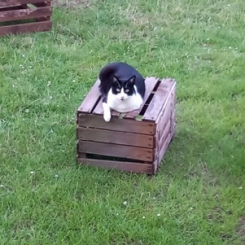 Profilbild von Max/Mäxchen