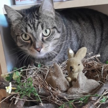 Gruppenlogo von Bild des Monats